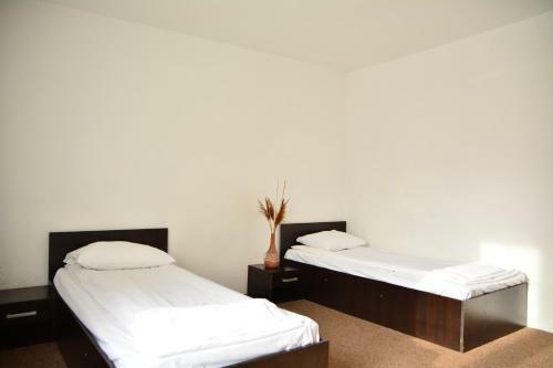 Hostal Casa Anima
