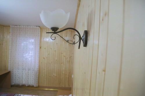 Villa Vila Brandusa Predeal