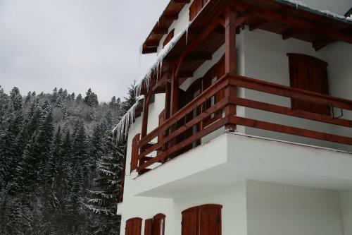 Villa Vila Brandusa Predeal