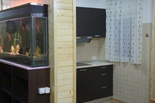 Villa Vila Brandusa Predeal