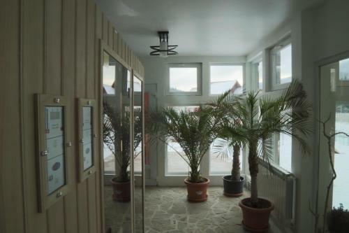 Villa Vila Brandusa Predeal
