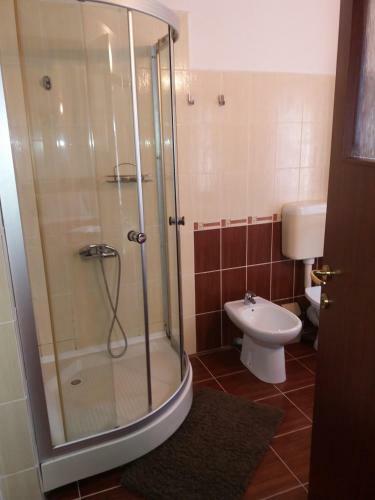 Hostal Pensiunea Transilvania Lodge