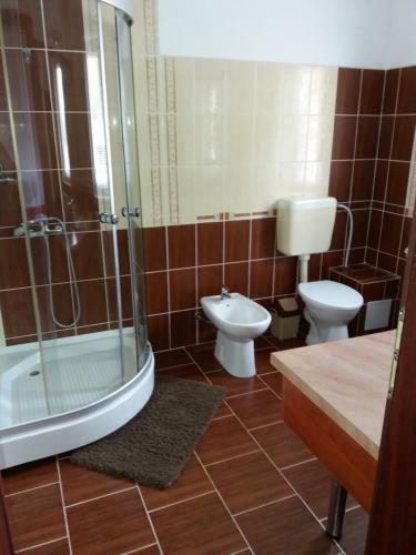 Hostal Pensiunea Transilvania Lodge