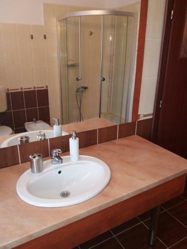 Hostal Pensiunea Transilvania Lodge
