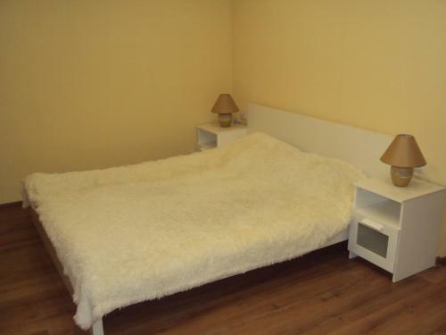 Apartment Vip Center On Kommuny 16