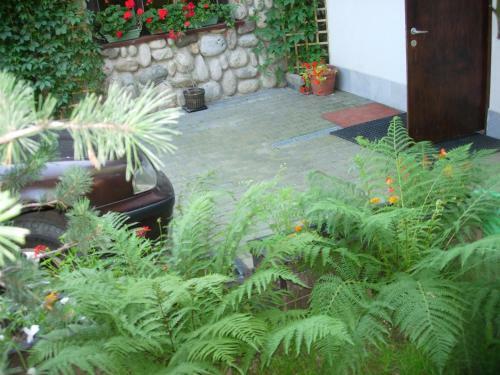 Hostal Pokoje Akademia Zdrowia Somatic