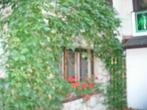 Hostal Pokoje Akademia Zdrowia Somatic