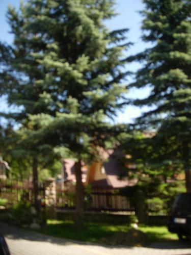 Hostal Pokoje Akademia Zdrowia Somatic