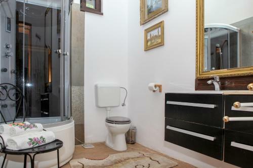 Hostal Vila Il Piccolo Castello Busteni