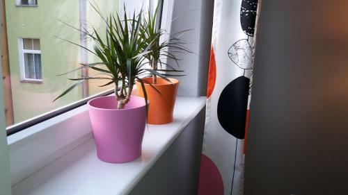 Apartamenty Sedinum - Brama Portowa