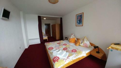 Hostal Lesn� Pension