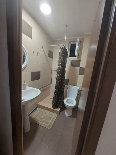 Hostal Casa Dumitrescu