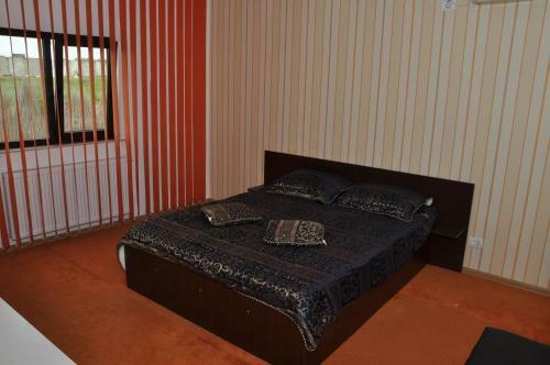 Hostal Casa Dumitrescu