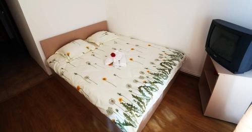 Hostal Casa Noastra