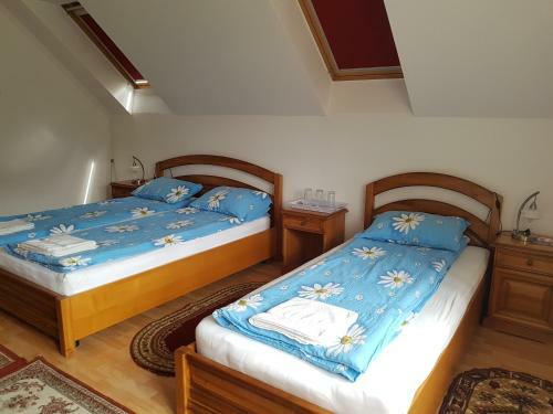 Hostal Pensiunea L?rincz *** Panzi�