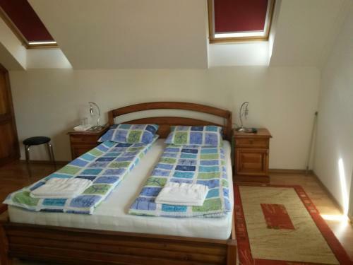 Hostal Pensiunea L?rincz *** Panzi�