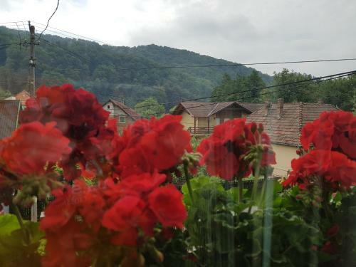 Hostal Pensiunea L?rincz *** Panzi�