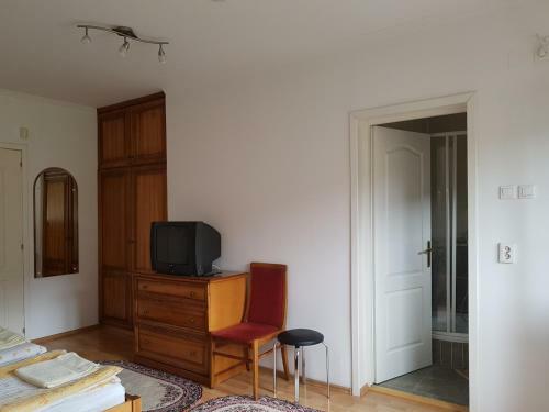 Hostal Pensiunea L?rincz *** Panzi�