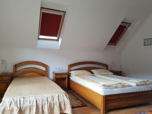 Hostal Pensiunea L?rincz *** Panzi�