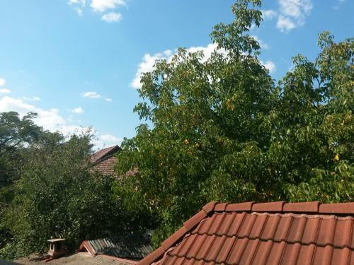 Hostal Pensiunea L?rincz *** Panzi�