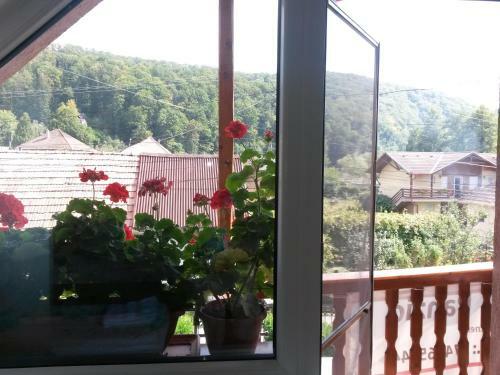 Hostal Pensiunea L?rincz *** Panzi�