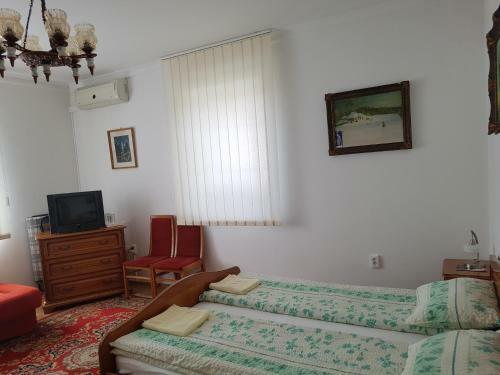 Hostal Pensiunea L?rincz *** Panzi�