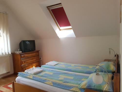 Hostal Pensiunea L?rincz *** Panzi�