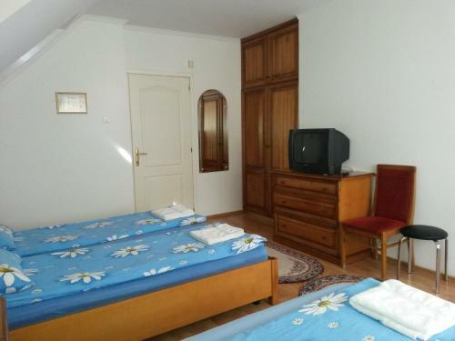 Hostal Pensiunea L?rincz *** Panzi�