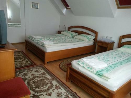 Hostal Pensiunea L?rincz *** Panzi�