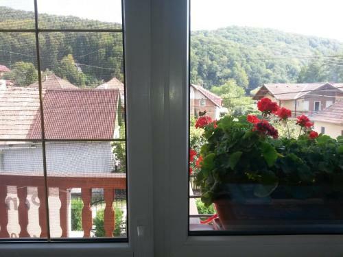 Hostal Pensiunea L?rincz *** Panzi�