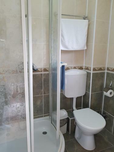 Hostal Pensiunea L?rincz *** Panzi�