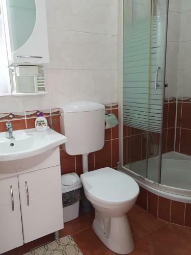 Hostal Pensiunea L?rincz *** Panzi�
