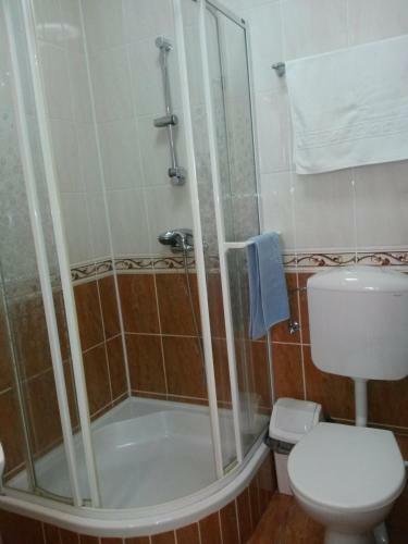 Hostal Pensiunea L?rincz *** Panzi�