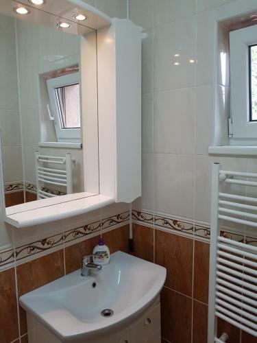 Hostal Pensiunea L?rincz *** Panzi�