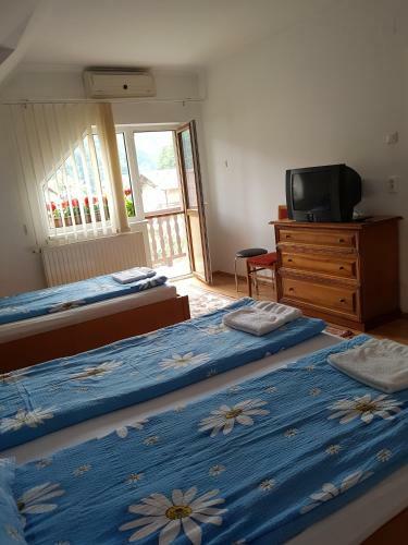 Hostal Pensiunea L?rincz *** Panzi�