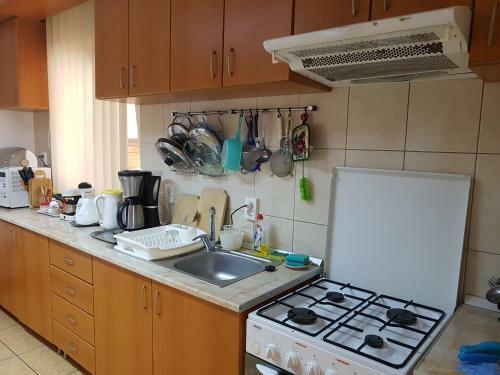 Hostal Pensiunea L?rincz *** Panzi�