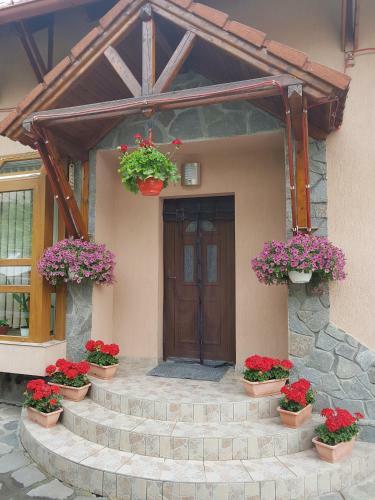 Hostal Pensiunea L?rincz *** Panzi�