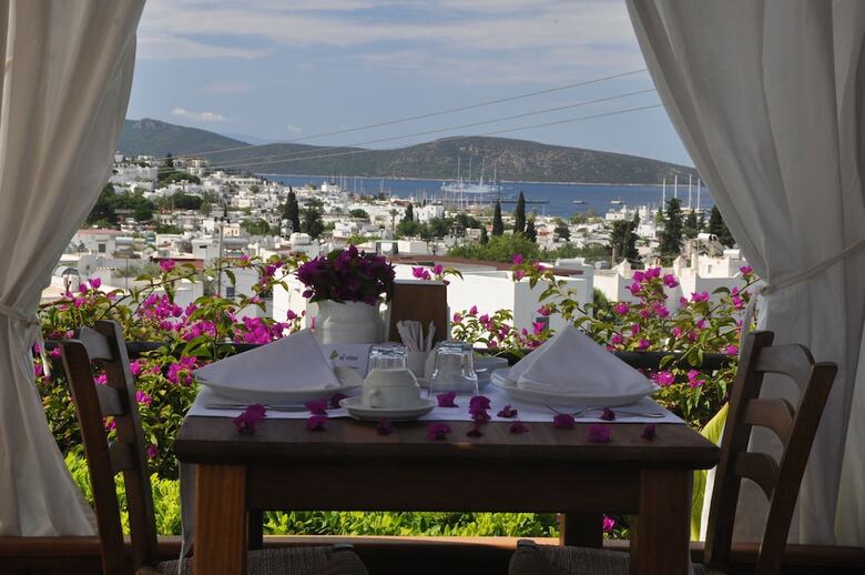 El Vino Hotel Suites