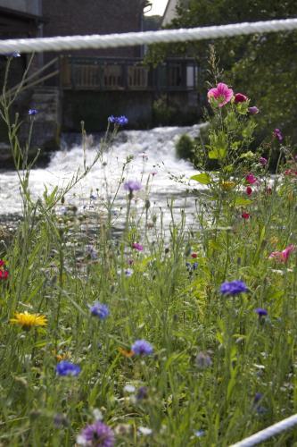 Hotel Logis Moulin Des Forges