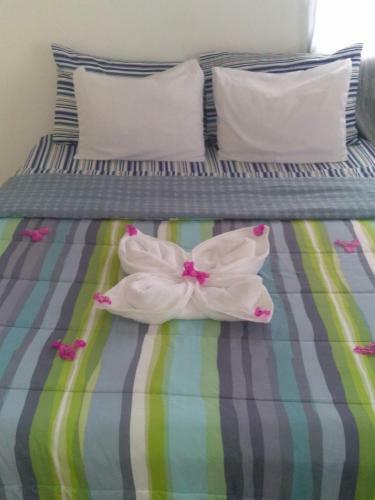 Caribbean Dream