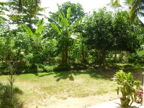Serene Home Stay