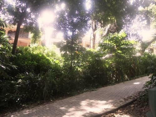 Bed & Breakfast Hill View Homestay