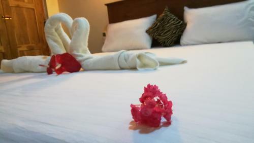 Sigiri Safari Homestay