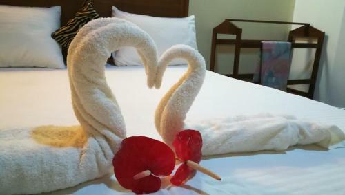 Sigiri Safari Homestay