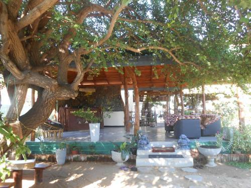 Hotel Shell Resort