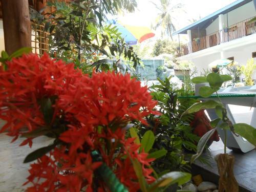 Hotel Shell Resort