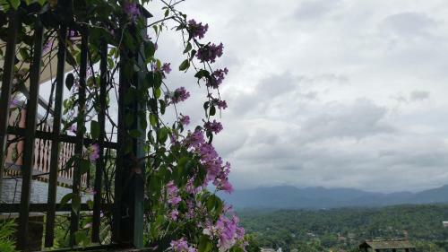 Hostal Waldhaus Kandy