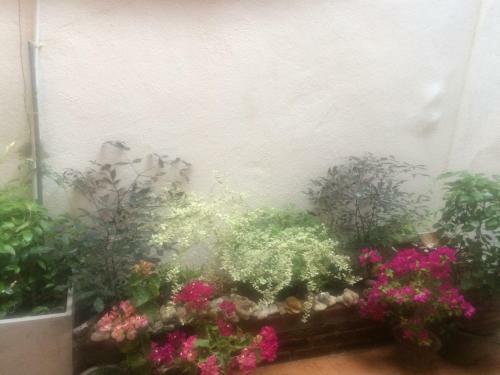 Hostal Secret Palace Guest House