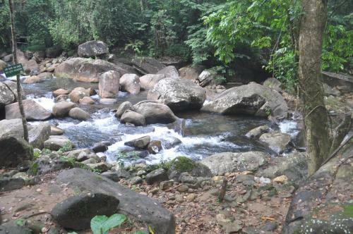 Hotel Girankiththa Eco Resort