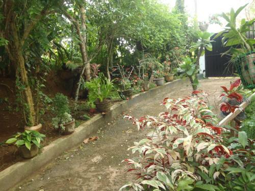 Bed & Breakfast New Jaya Villa